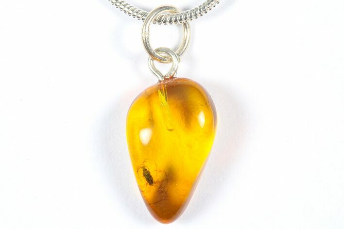 Polished Baltic Amber Pendant (Necklace) - Contains Beetle! #369019